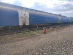 CPS FLT-302189-1